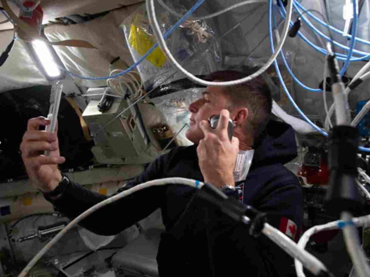 ¿Cuándo regresará a la Tierra la tripulación de la misión Artemis II?