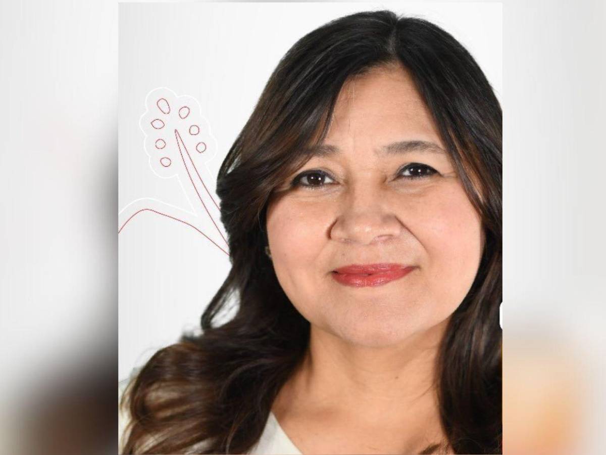 Ellos son los precandidatos a diputados por Francisco Morazán de “Somos +” en Libre