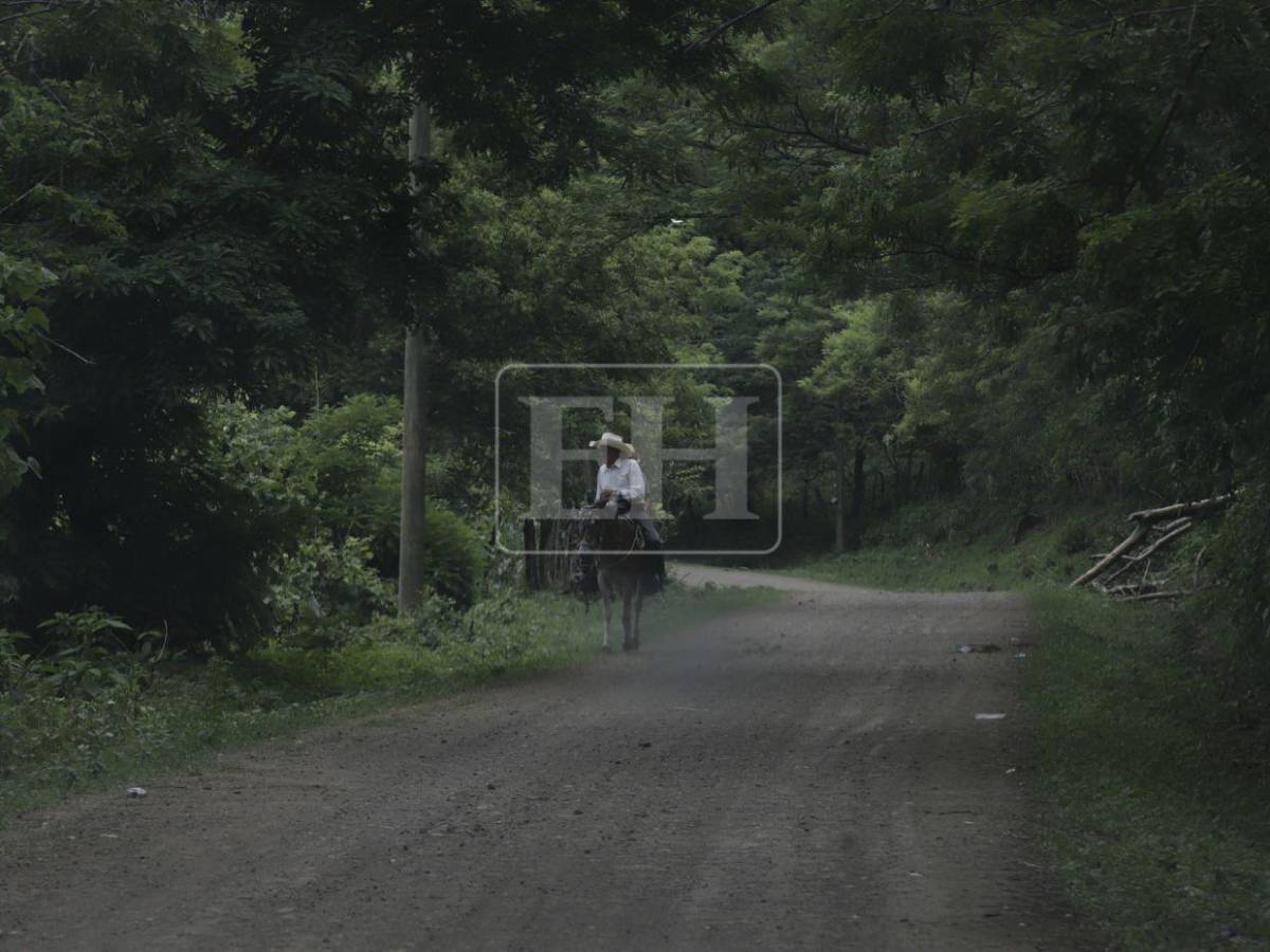 Mercedes de Oriente, el municipio de Honduras sin un solo homicidio en 10 años