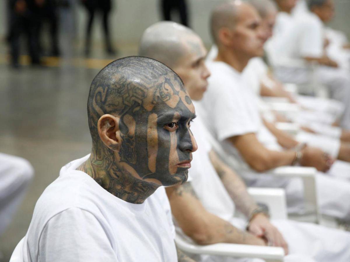 Las imágenes del inédito megajuicio contra más de 400 presuntos pandilleros en El Salvador