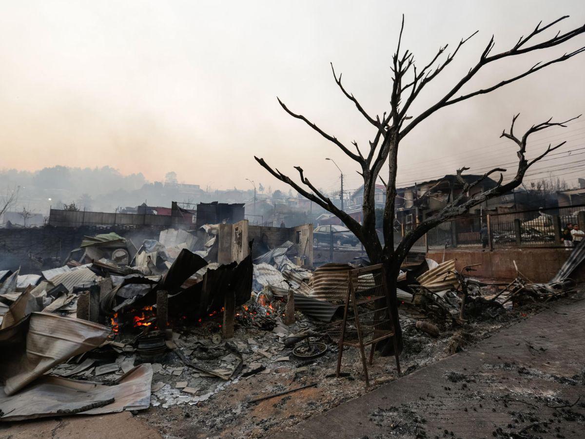 EN FOTOS: Con mascotas en brazos y lágrimas, chilenos abandonan sus casas tras incendio