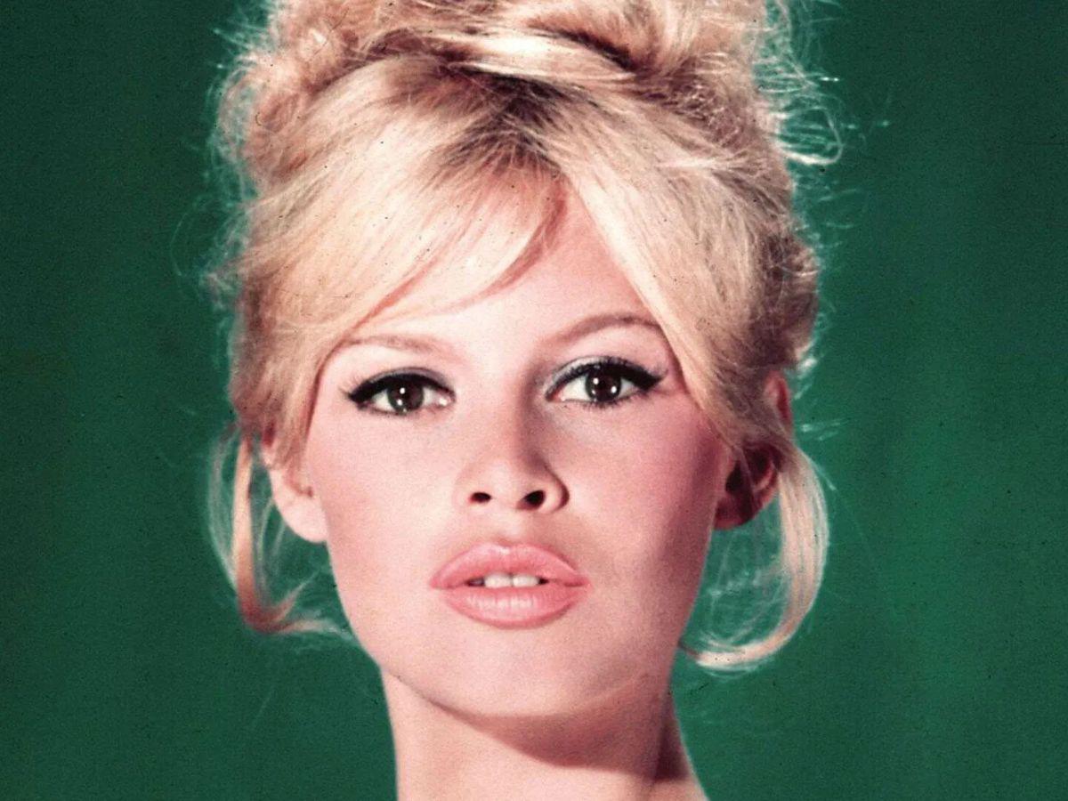 Antes y después de Brigitte Bardot: del ícono del cine a defensora de los animales