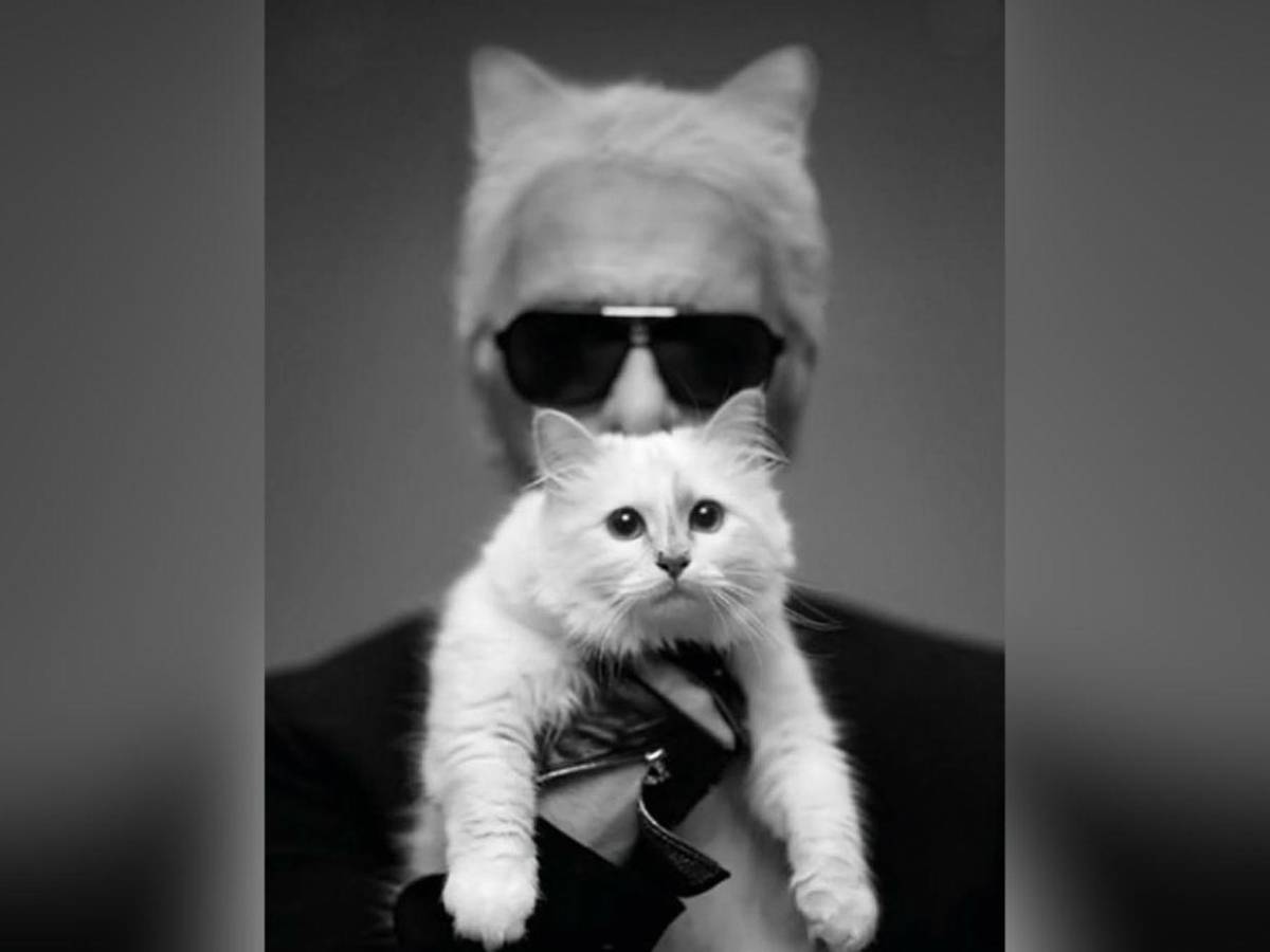 Choupette, la gata de Karl Lagerfeld, aún no recibe su millonaria herencia