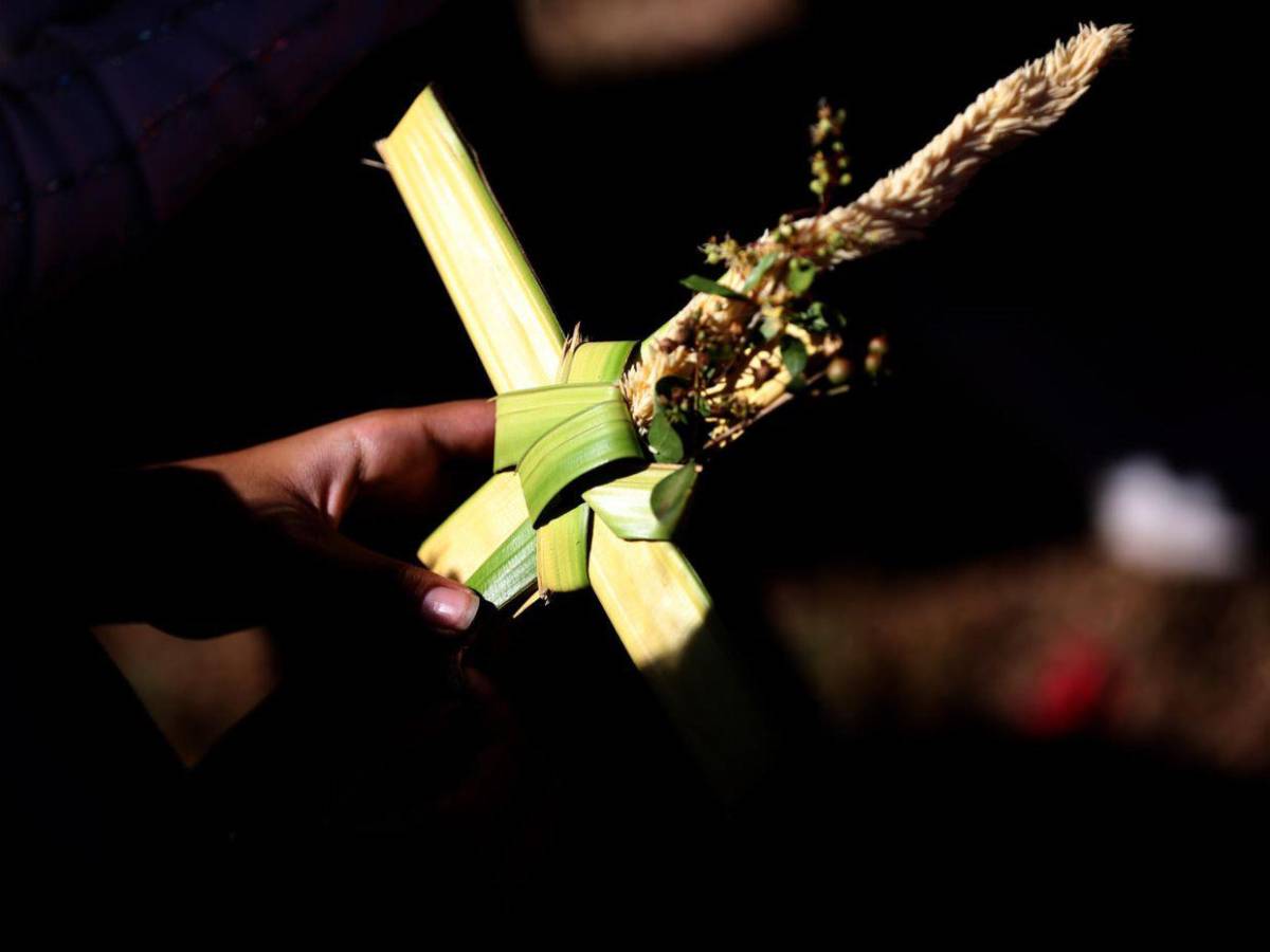 Con palmas, fe, curas expulsados y prohibiciones del régimen de Ortega, Nicaragua inicia Semana Santa Con palmas, fe, curas expulsados y prohibiciones del régimen de Ortega, Nicaragua inicia Semana Santa