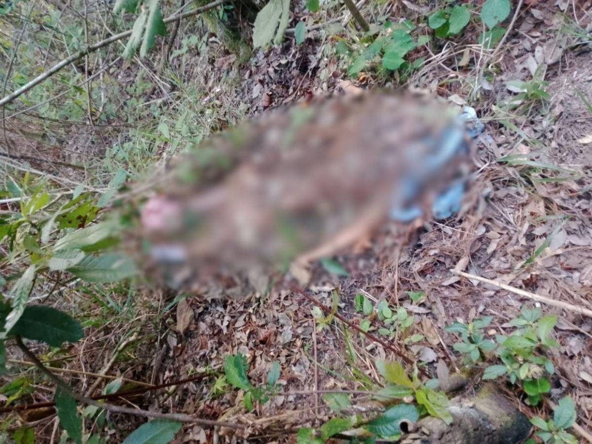 Con moretones en su cuerpo y semidesnuda encontraron a Rosi Izaguirre en La Tigra