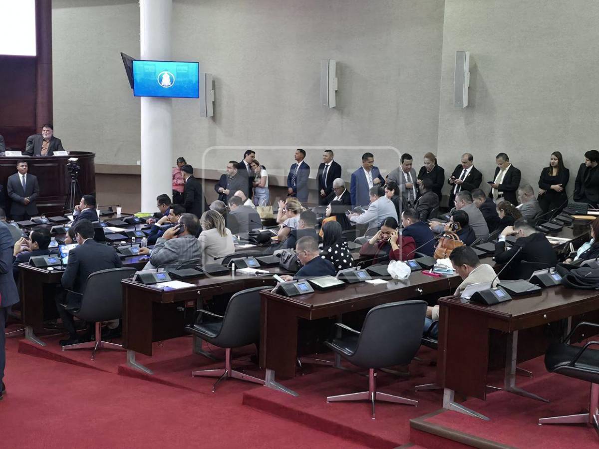 ¿Quiénes pueden ser electos para sustituir en el cargo a Marlon Ochoa y a Mario Morazán?