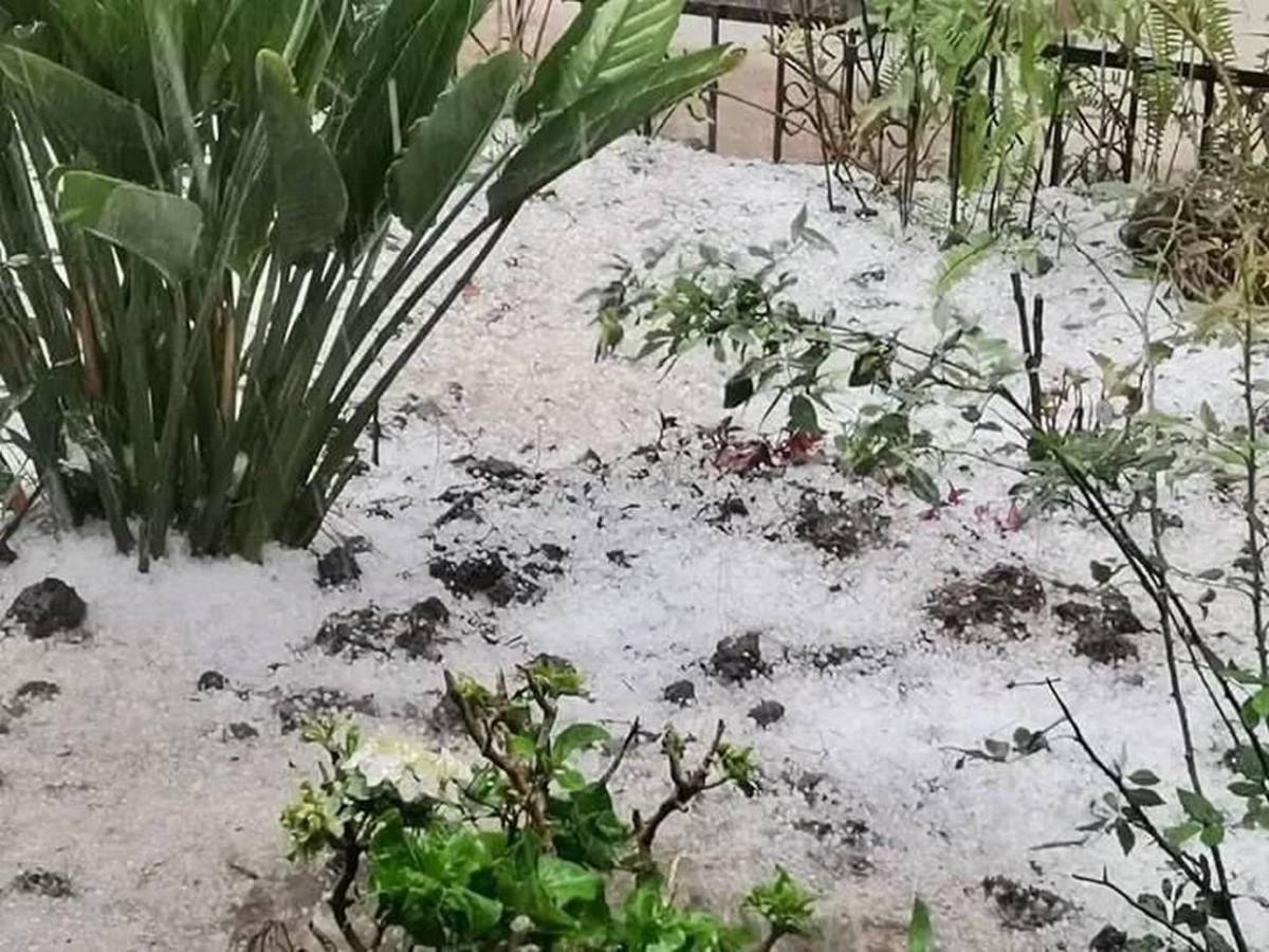 Es una gran decepción: tormenta de granizo causa estragos en cultivos de Intibucá