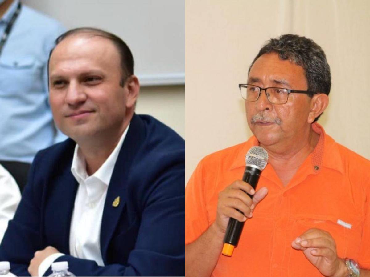 Diputados de Libre que buscan ser reelectos en las primarias del 9 de marzo