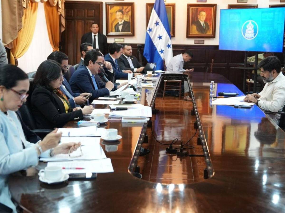 Estos fueron los puntos clave de la comparecencia de Johel Zelaya en el Congreso