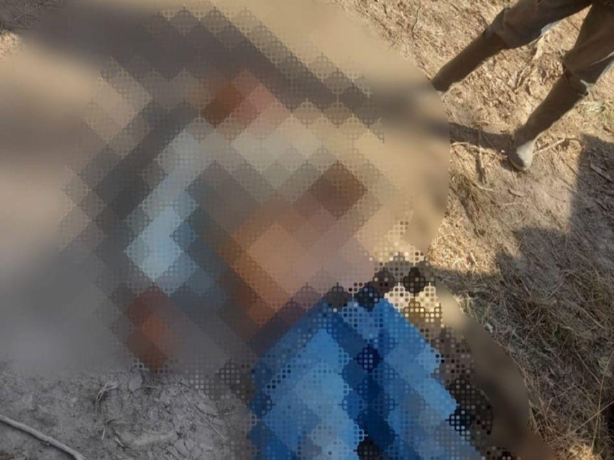 Anciano muere tras caerle tronco de madera en Catacamas