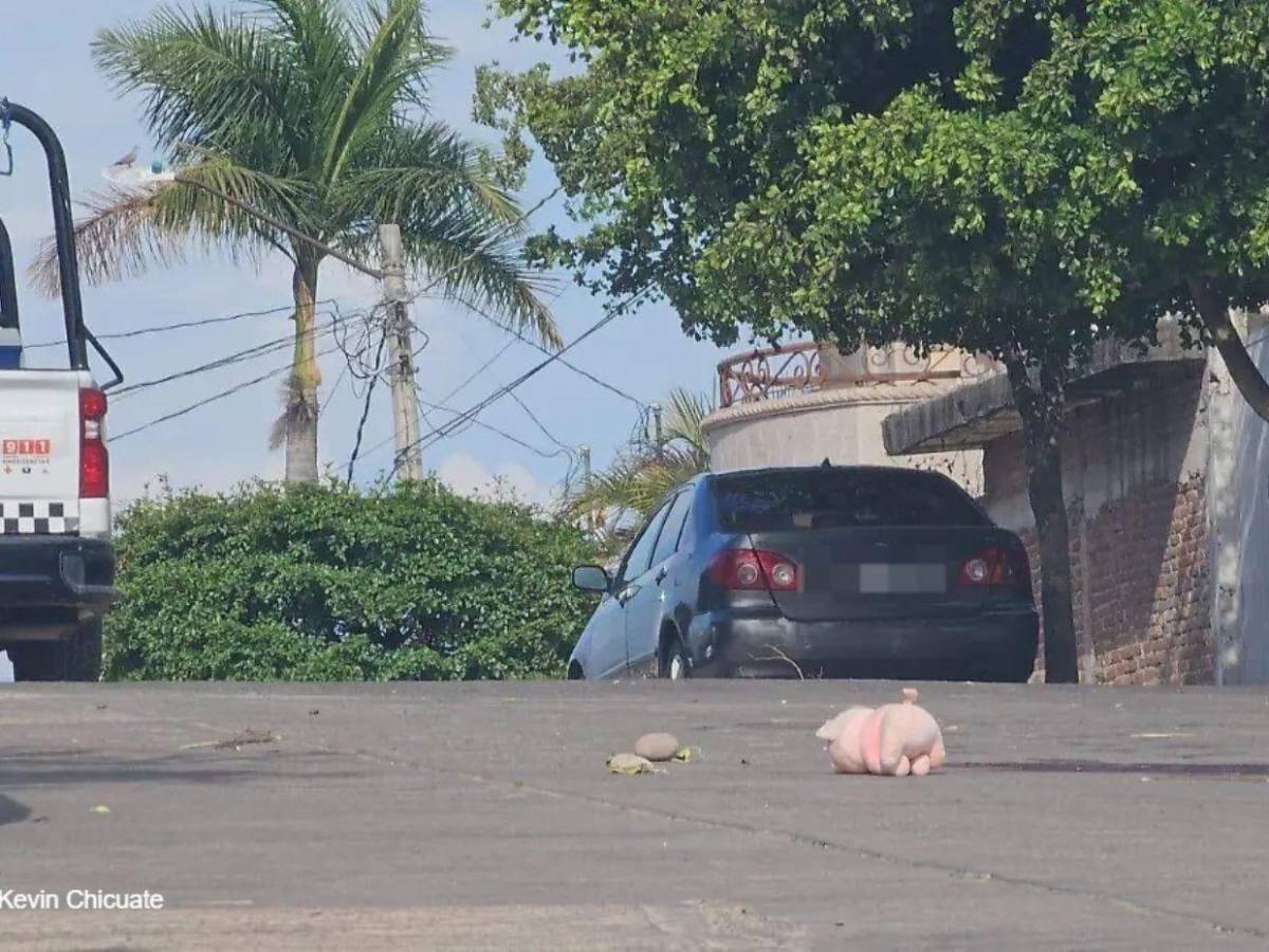¿Qué significan los cerditos rosa en escenas del crimen en Culiacán?