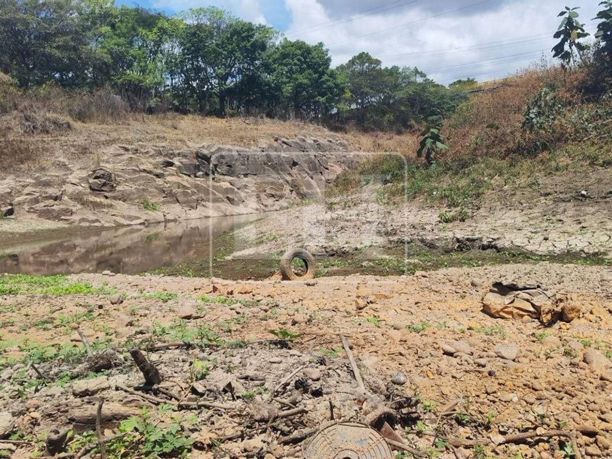 Como un hilo de agua: así está este 7 de septiembre el río Guacerique que agoniza por la sequía