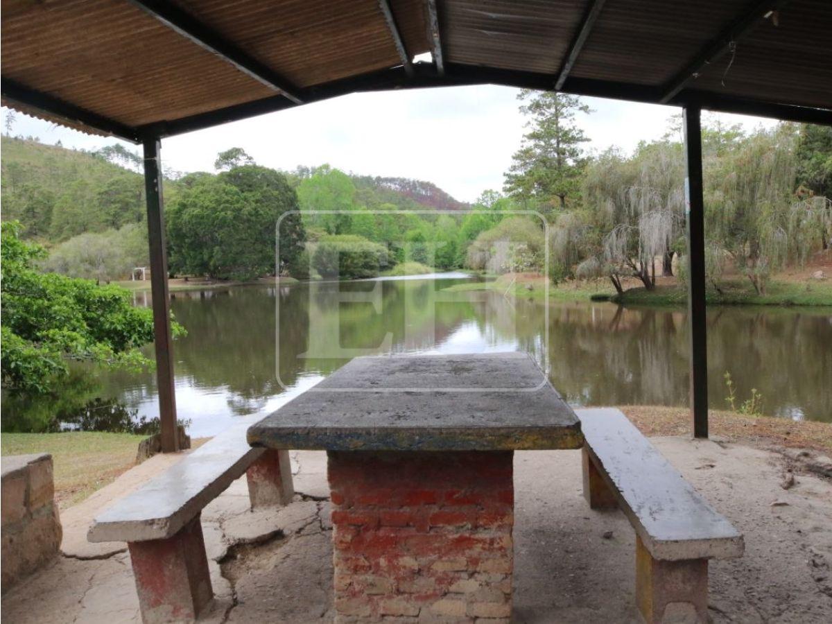Frescura, fauna y viajes en bote de pedales: disfruta del Parque Aurora esta Semana Santa