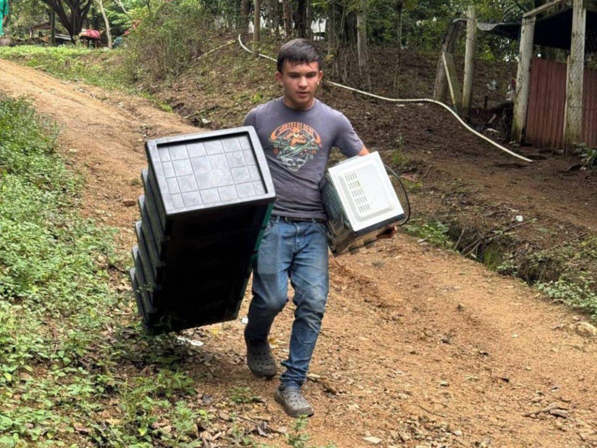 ¡Derribaron hasta la escuela! 250 familias quedan en la calle tras desalojo en Cofradía