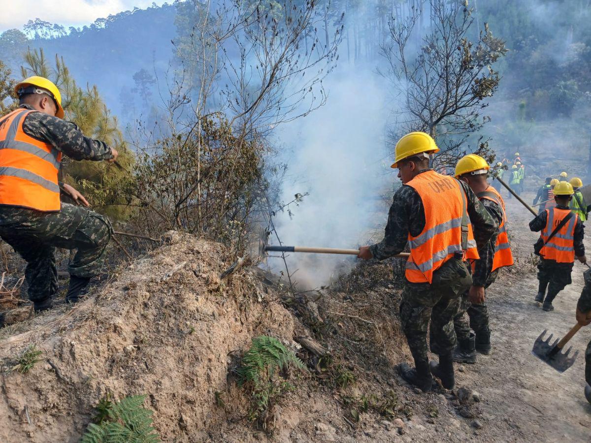 ¡Arde en llamas Triquilapa! El fuego devora uno de los pulmones de Tegucigalpa