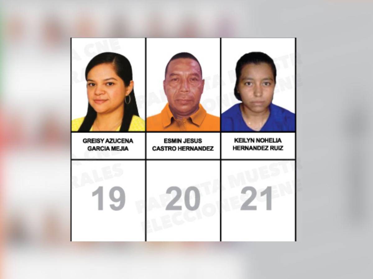 Sin Cálix, con un exmagistrado del TSE y otros rostros: candidatos a diputados por Olancho