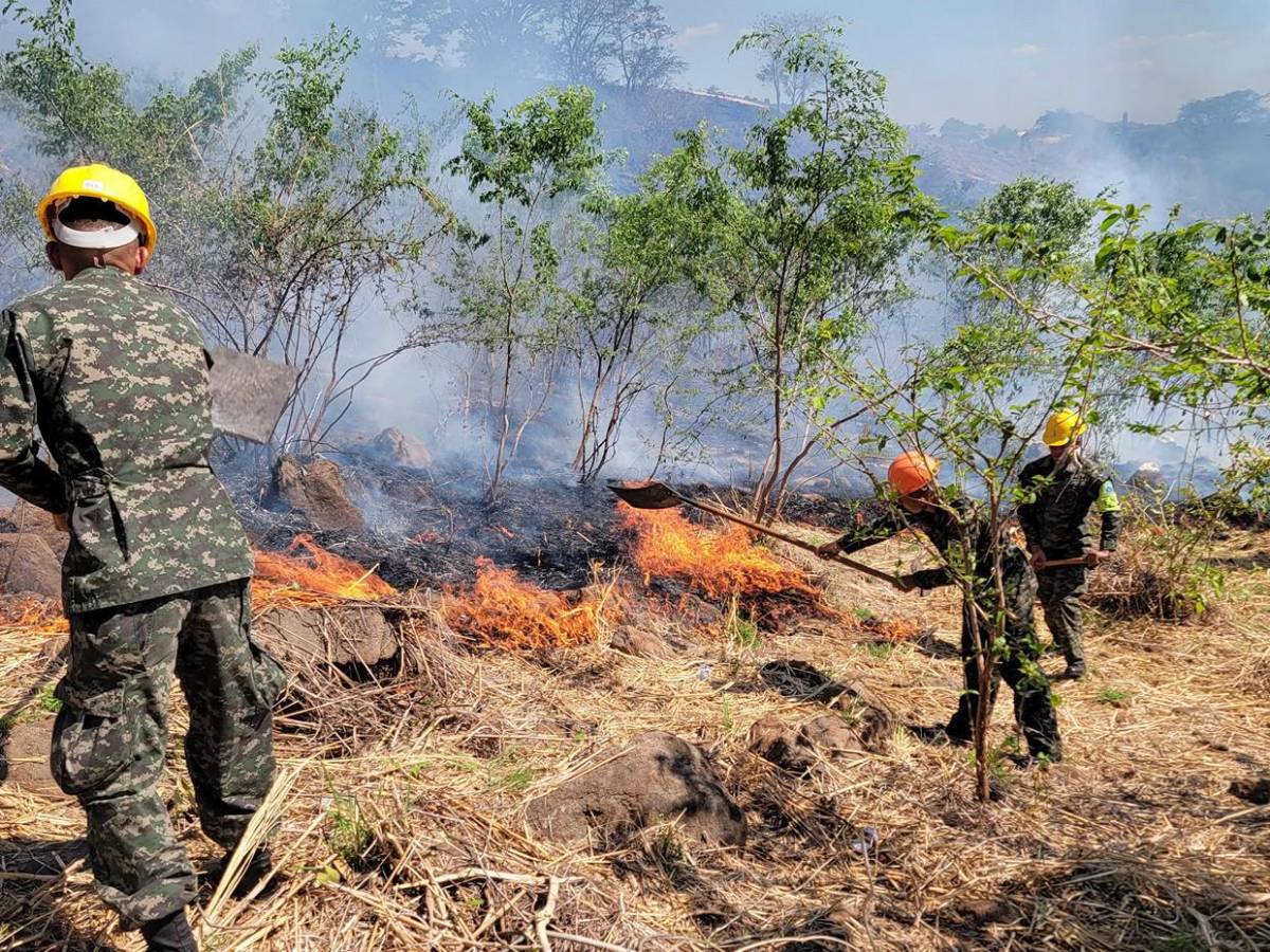 Solo durante el fin de semana se registraron 15 incendios forestales en Honduras