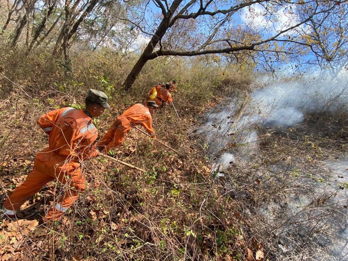 Solo durante el fin de semana se registraron 15 incendios forestales en Honduras