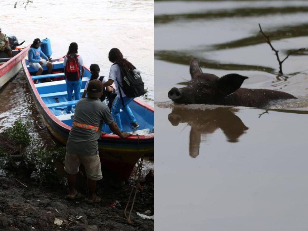 Crisis en Costa de los Amates: inundaciones, cocodrilos y esperanza en medio del caos