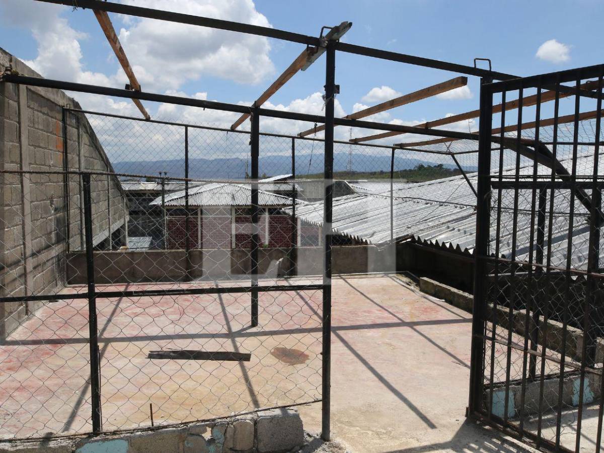 Pelea de gallos, criadero de peces y patos: Támara está lejos de ser una cárcel