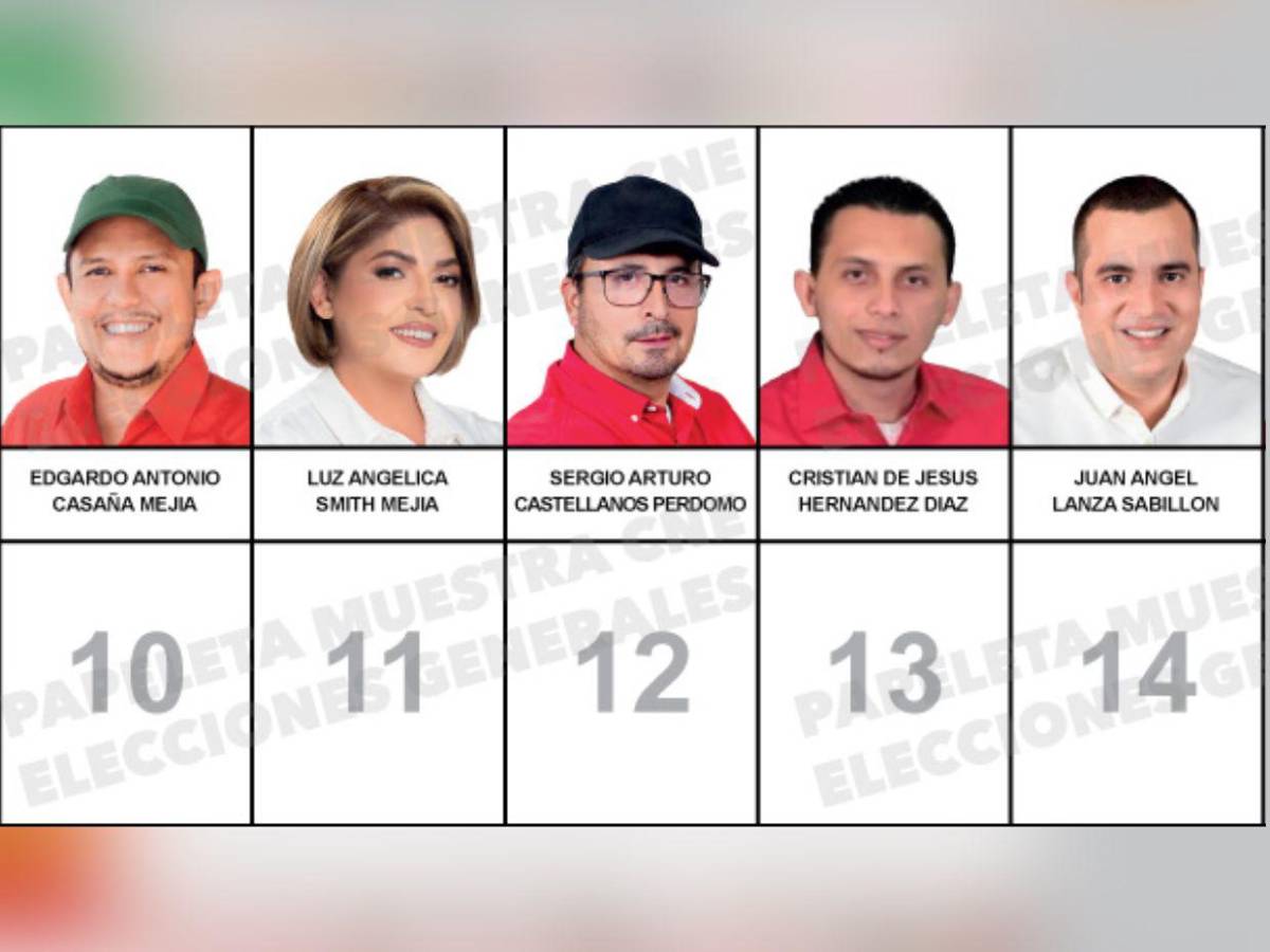 ¿Quiénes son los 45 candidatos a diputados que integran la papeleta por Santa Bárbara?