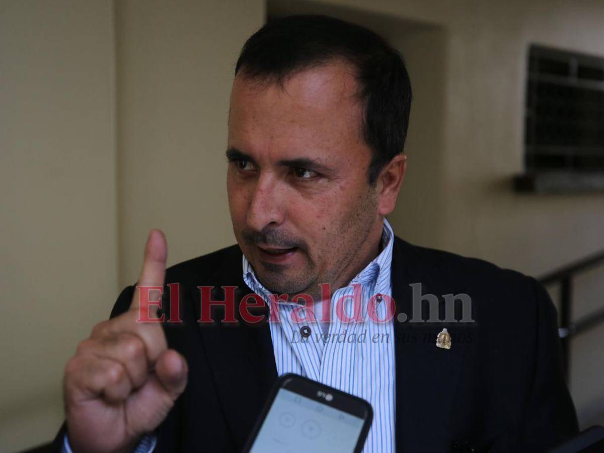 “Dividir la bancada de Libre responde a intereses del Partido Nacional”: Sergio Castellanos