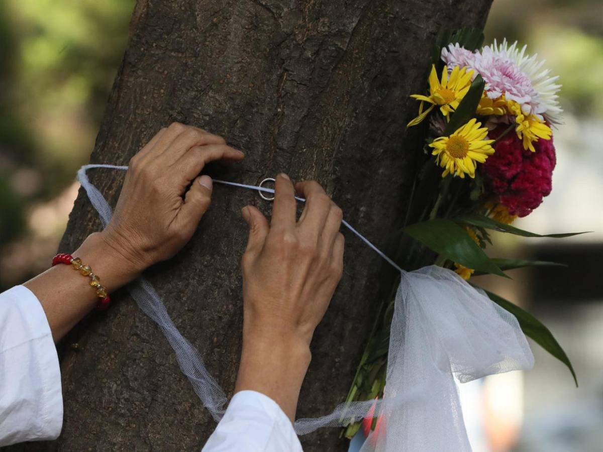 Una boda poco común: 11 personas “se casan” con un árbol en CDMX para alzar la voz contra la deforestación