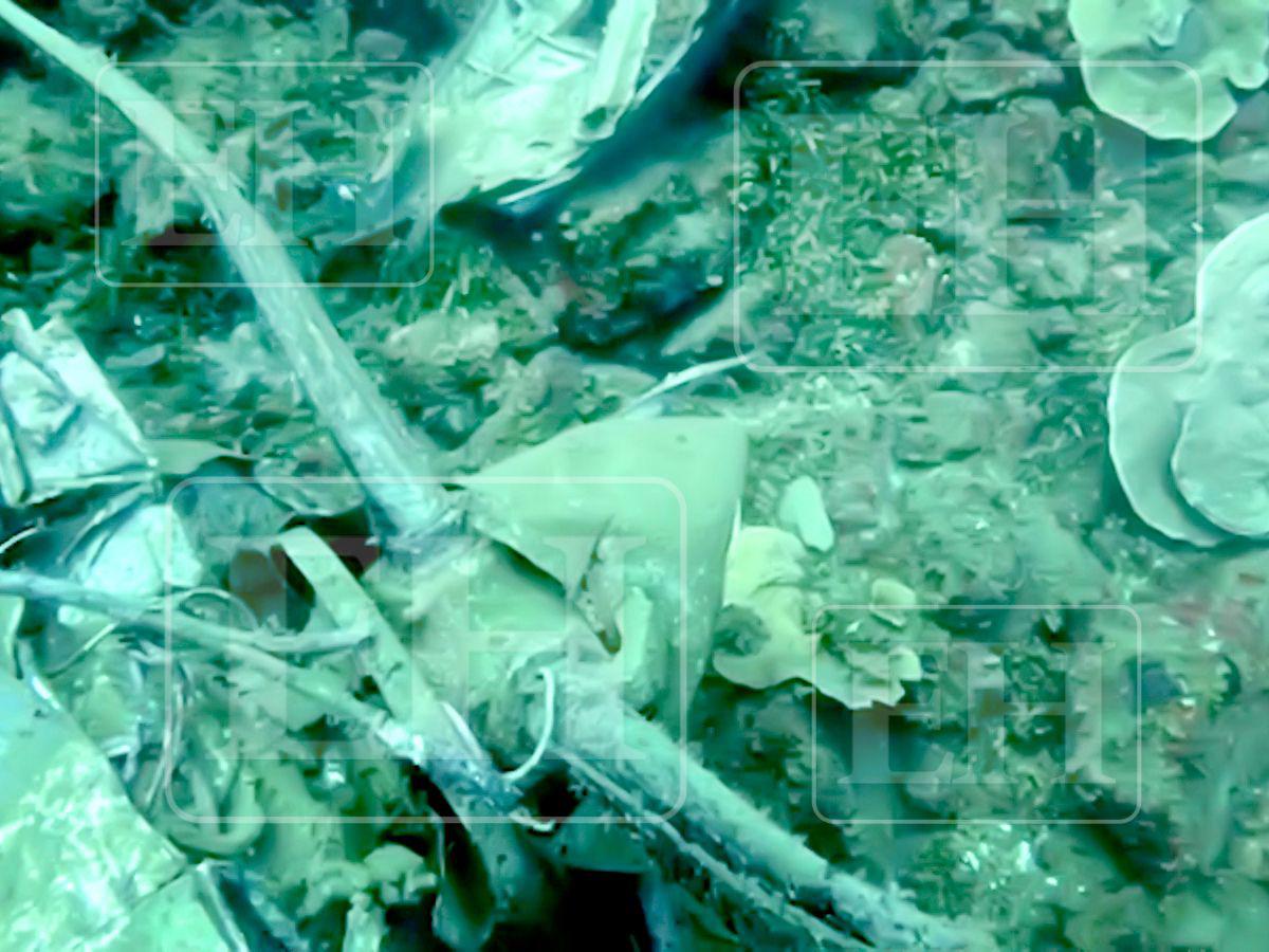 A un año de la tragedia aérea en Roatán: así luce desde el fondo del mar el avión