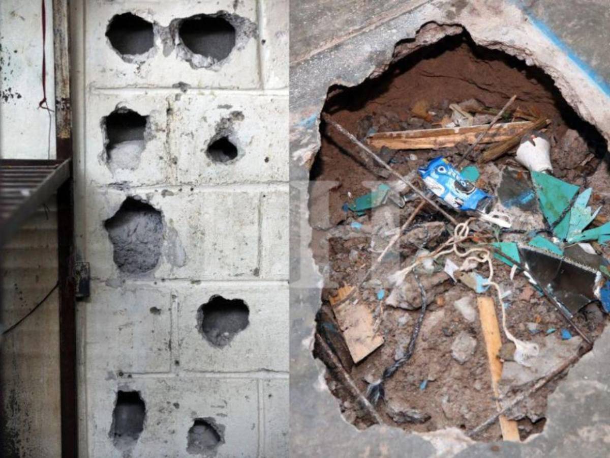 Pelea de gallos, criadero de peces y patos: Támara está lejos de ser una cárcel