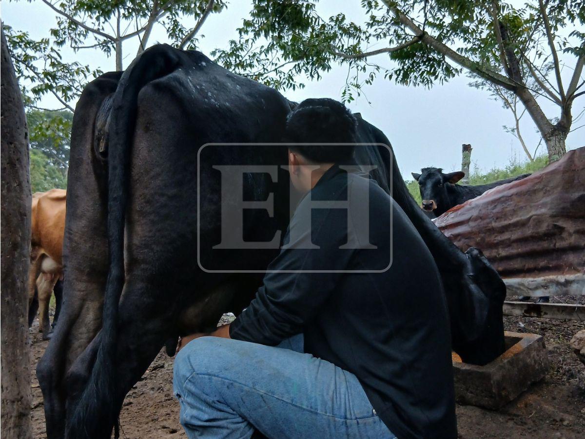 Después del colegio desapareció: madre de César Banegas antes de ser decapitado en Yoro