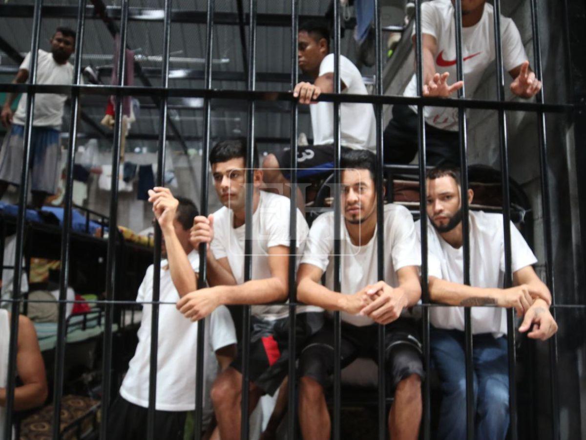 Sin piedad, juzgados como terroristas: las duras reformas aprobadas contra maras y pandillas