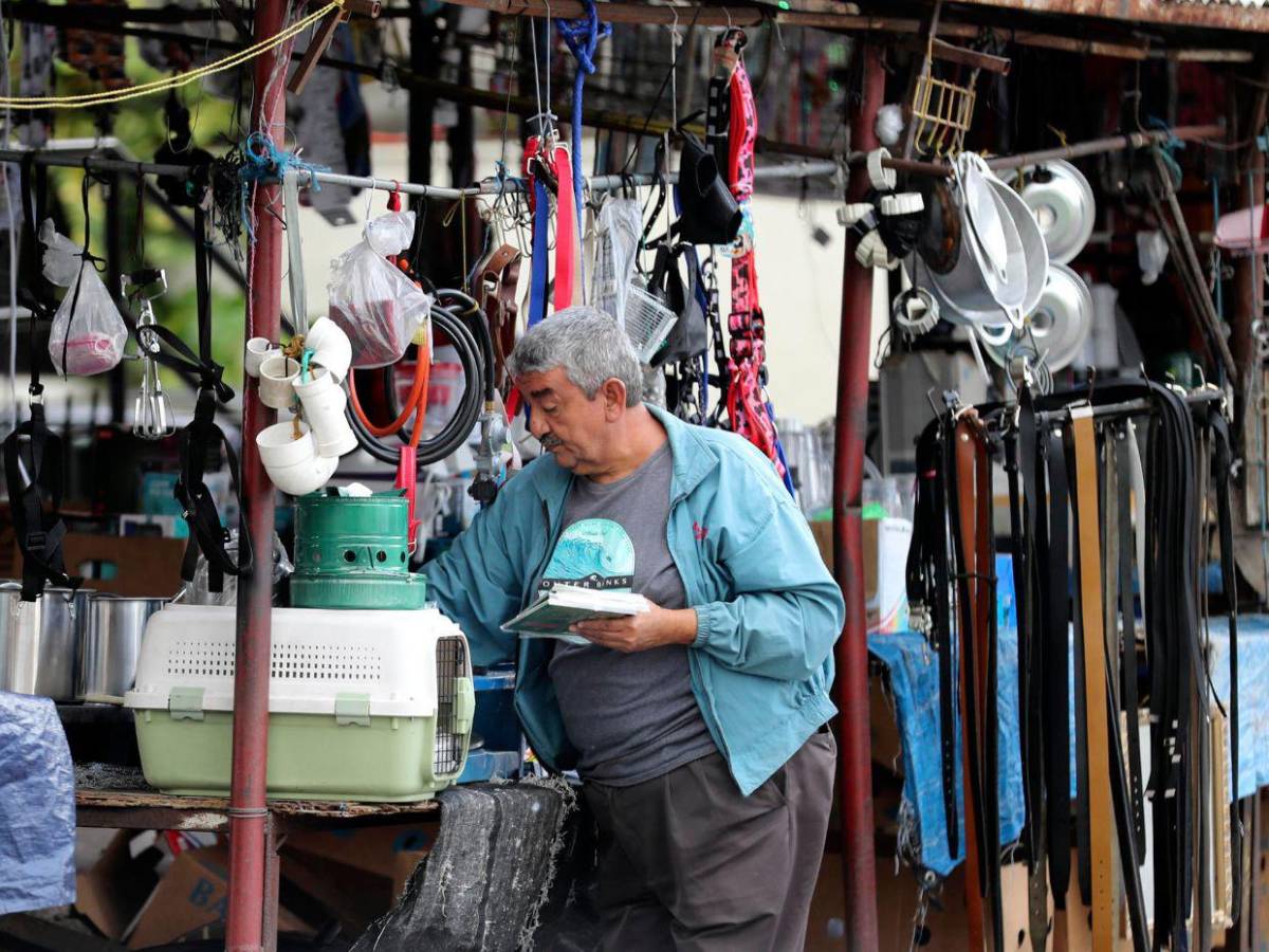 Empleo informal, pobreza y deudas: el panorama económico que recibirá el próximo gobierno