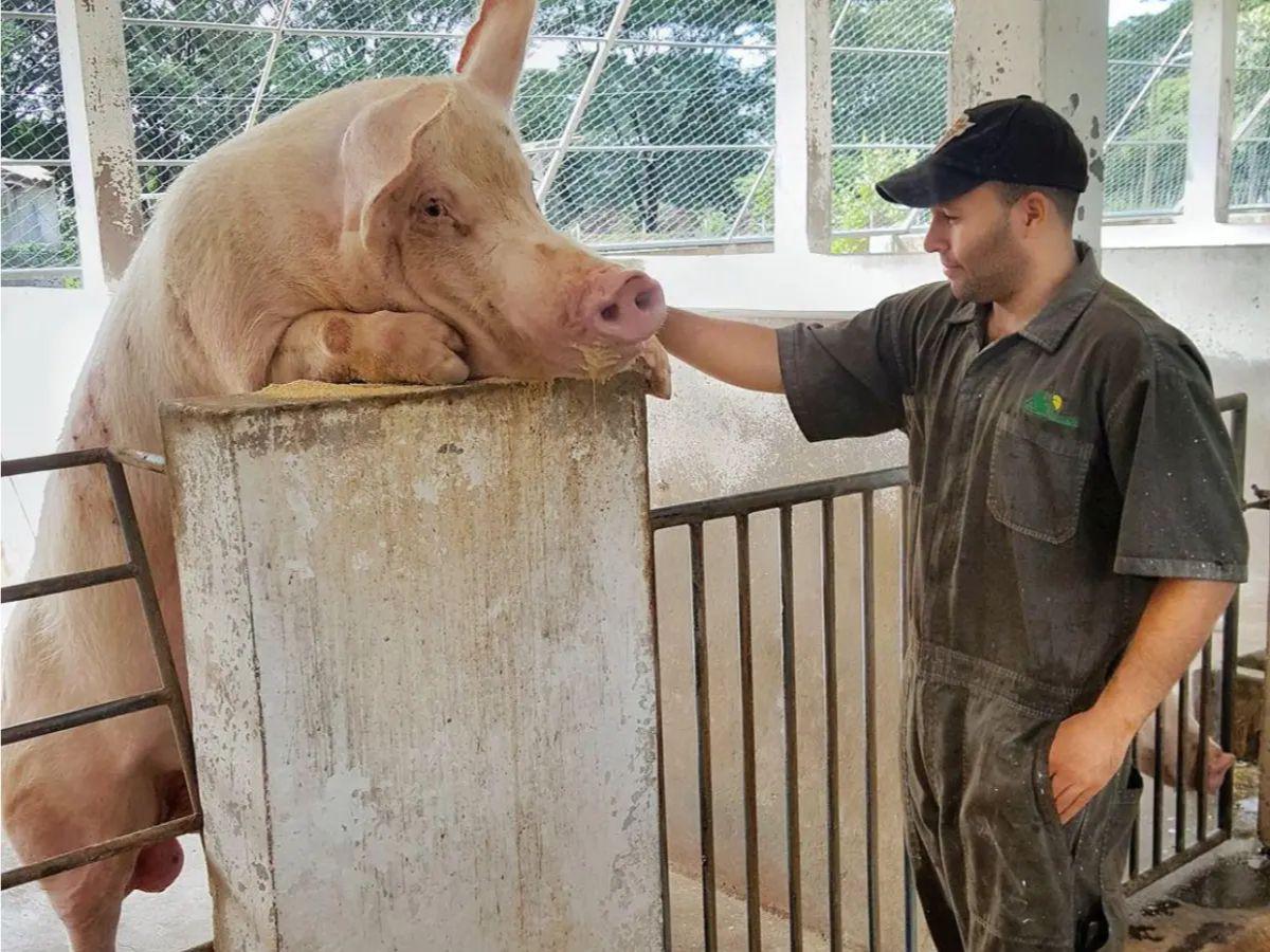Lo interceptaron y trató de huir: así fue el crimen del ingeniero Fernando Durón