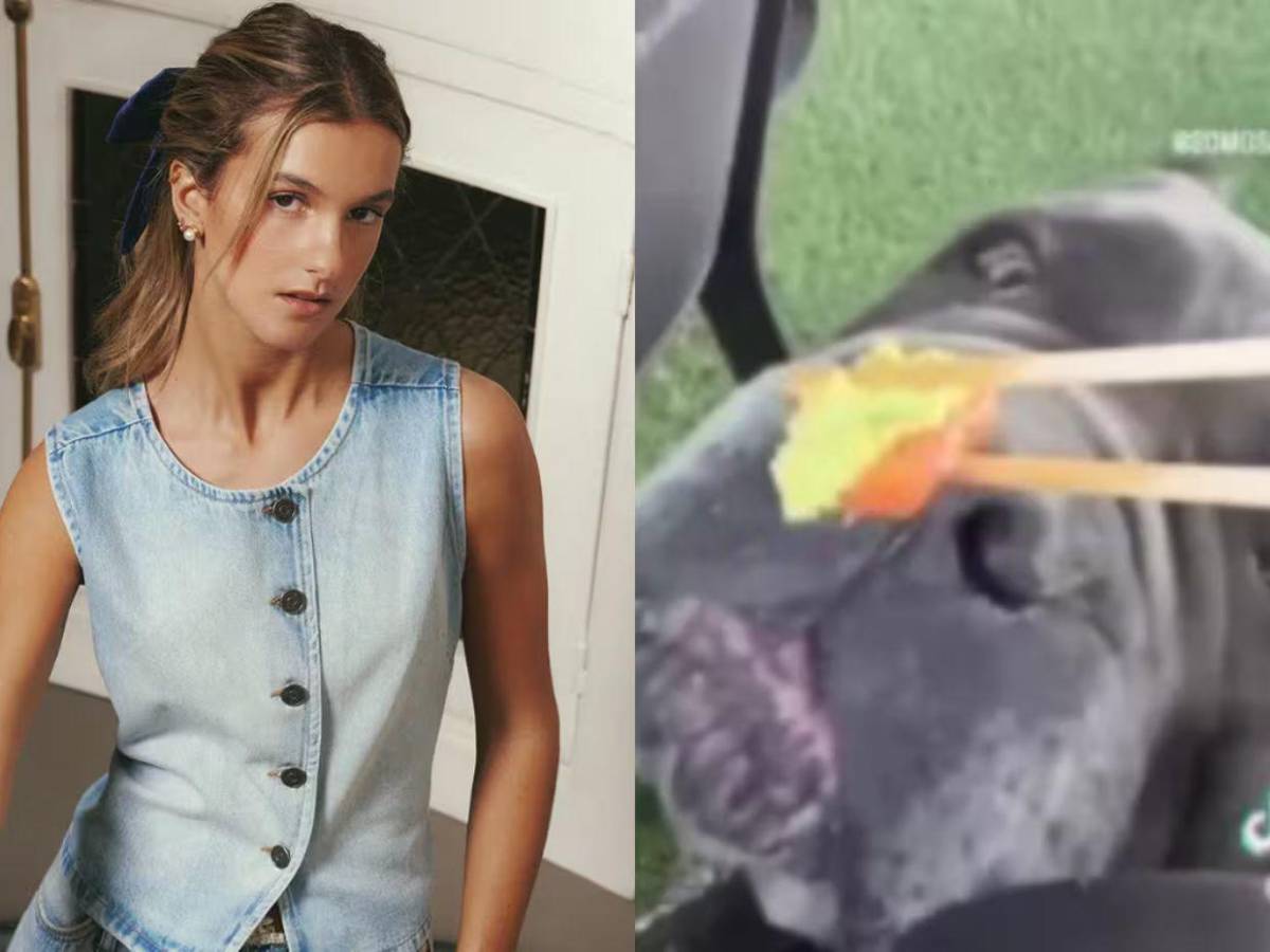 Josefa Sáez, influencer chilena denunciada ante la Fiscalía por darle wasabi a su perro