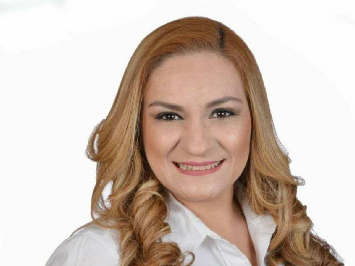 ¿Quiénes son los diputados de la comisión que investigará la renuncia de Ana Paola Hall?