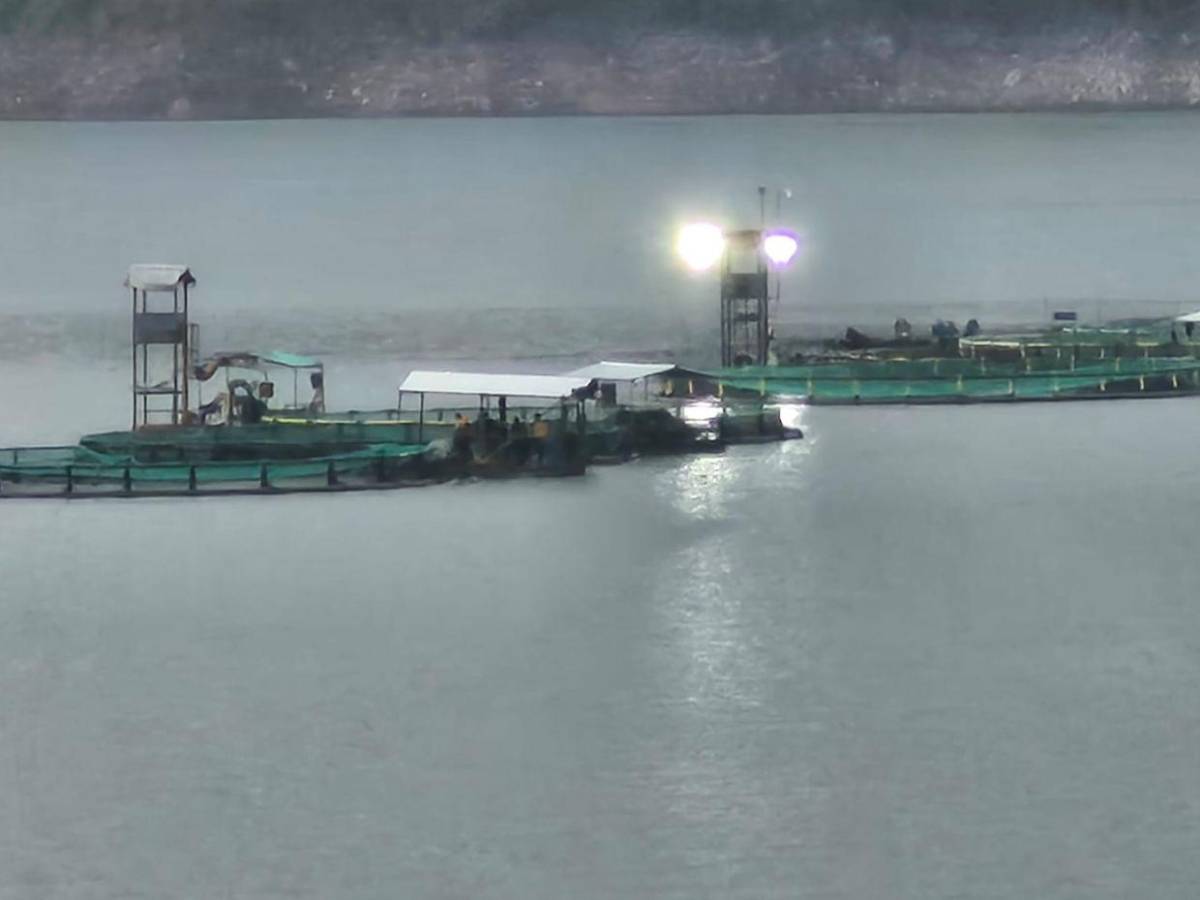 Rostros: ellos son los ahogados en El Cajón al revisar jaulas de pesca, ¿qué sucedió?