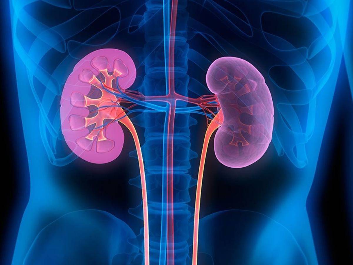 ¡Insólito! Ofrecen riñones en venta a través de Facebook