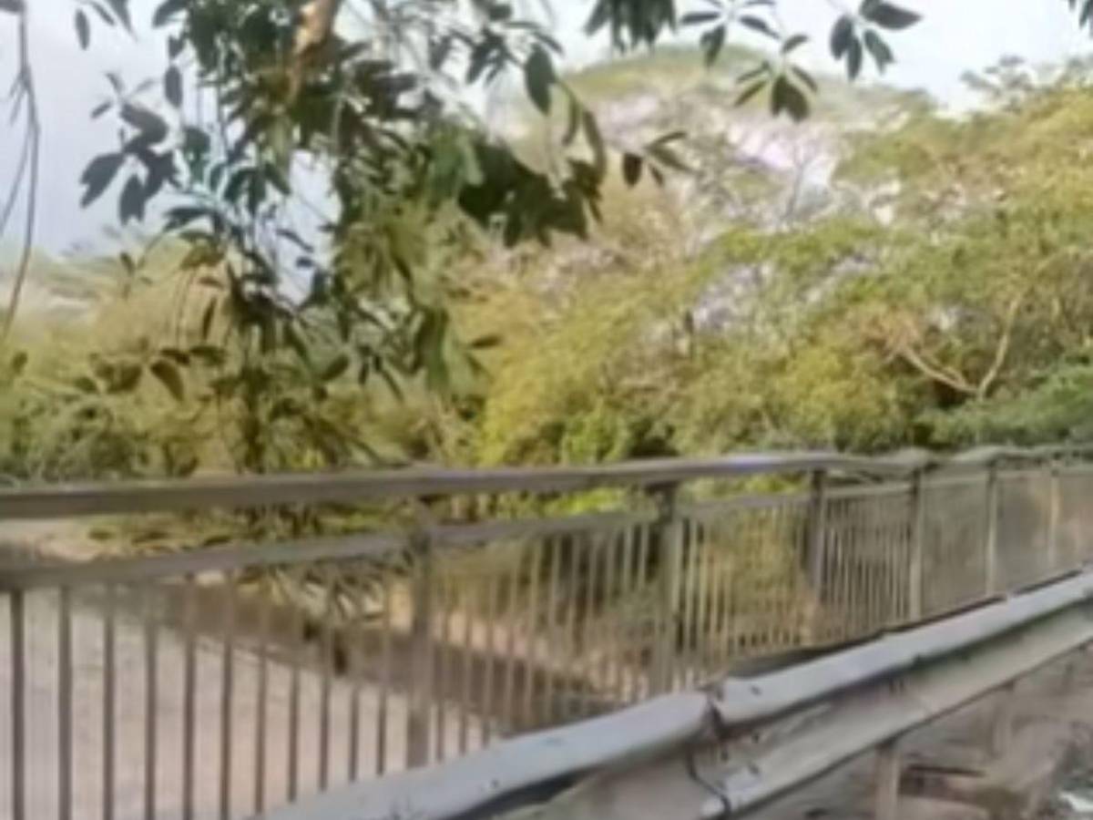 Por esquivar un perro: Camión queda al filo de puente y deja conductor herido en La Ceiba