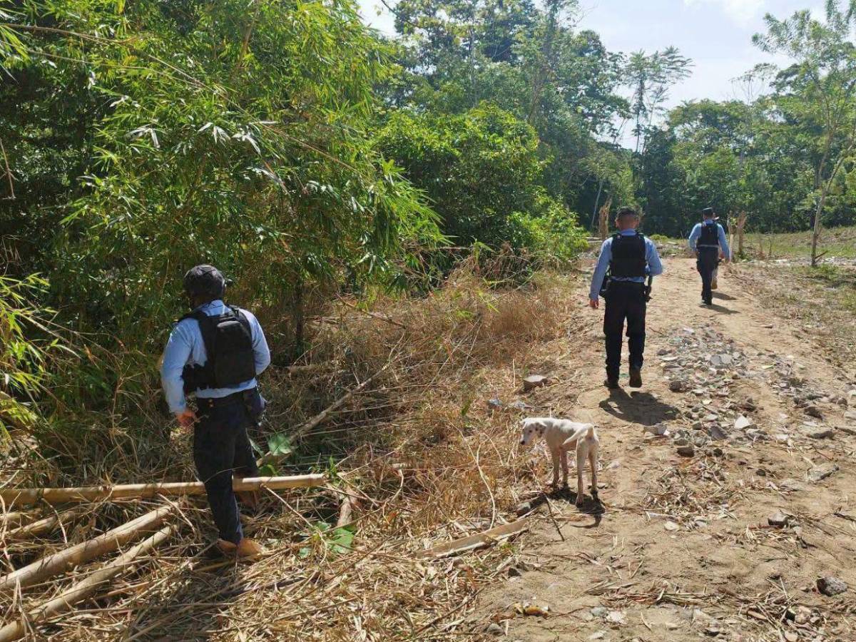 Así fue el rescate de la niña Reina Erazo en Sonaguera: perro guió hasta la pequeña, según pobladores