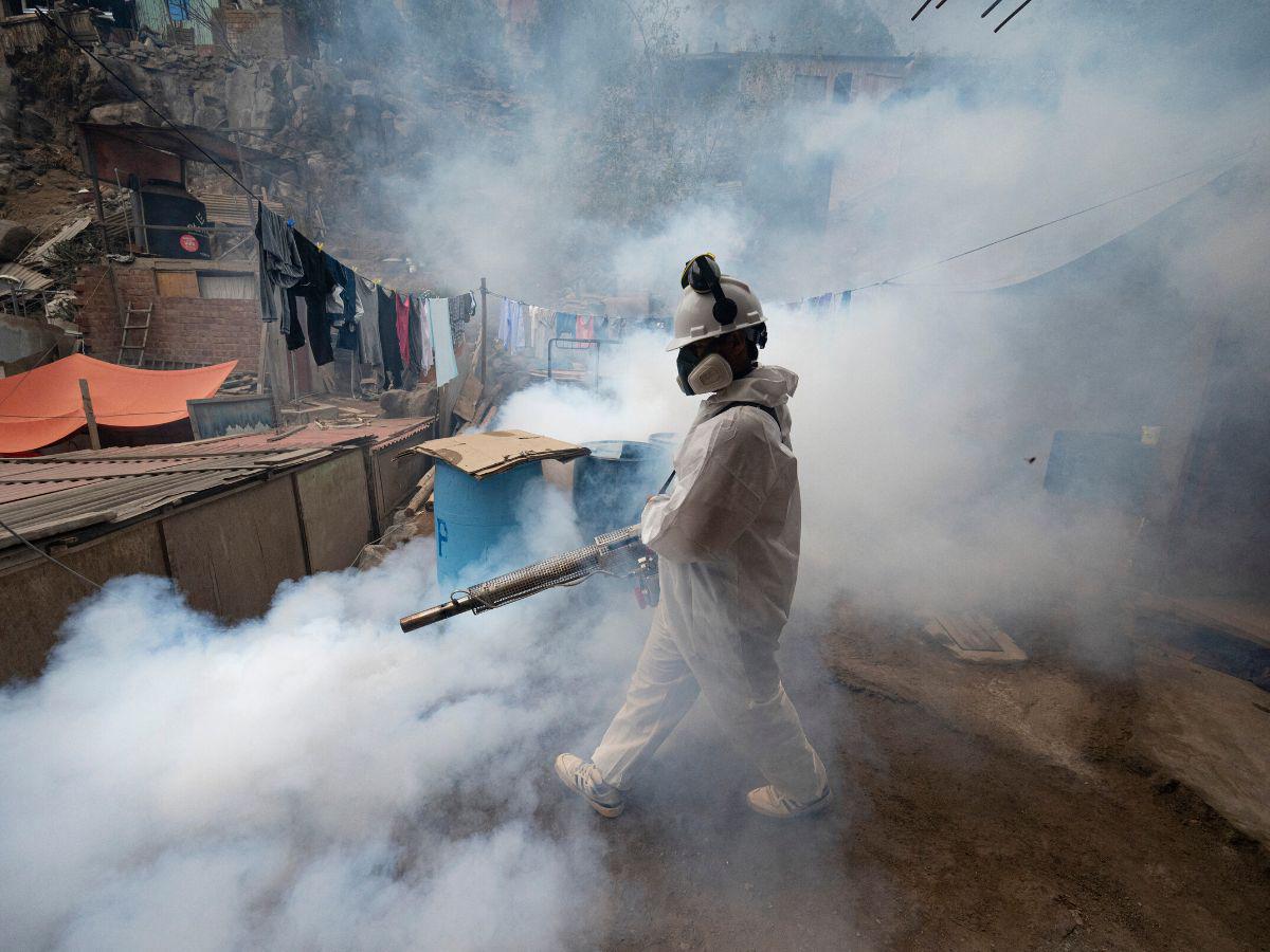 Perú busca controlar casos de dengue; suman 32 muertos este año