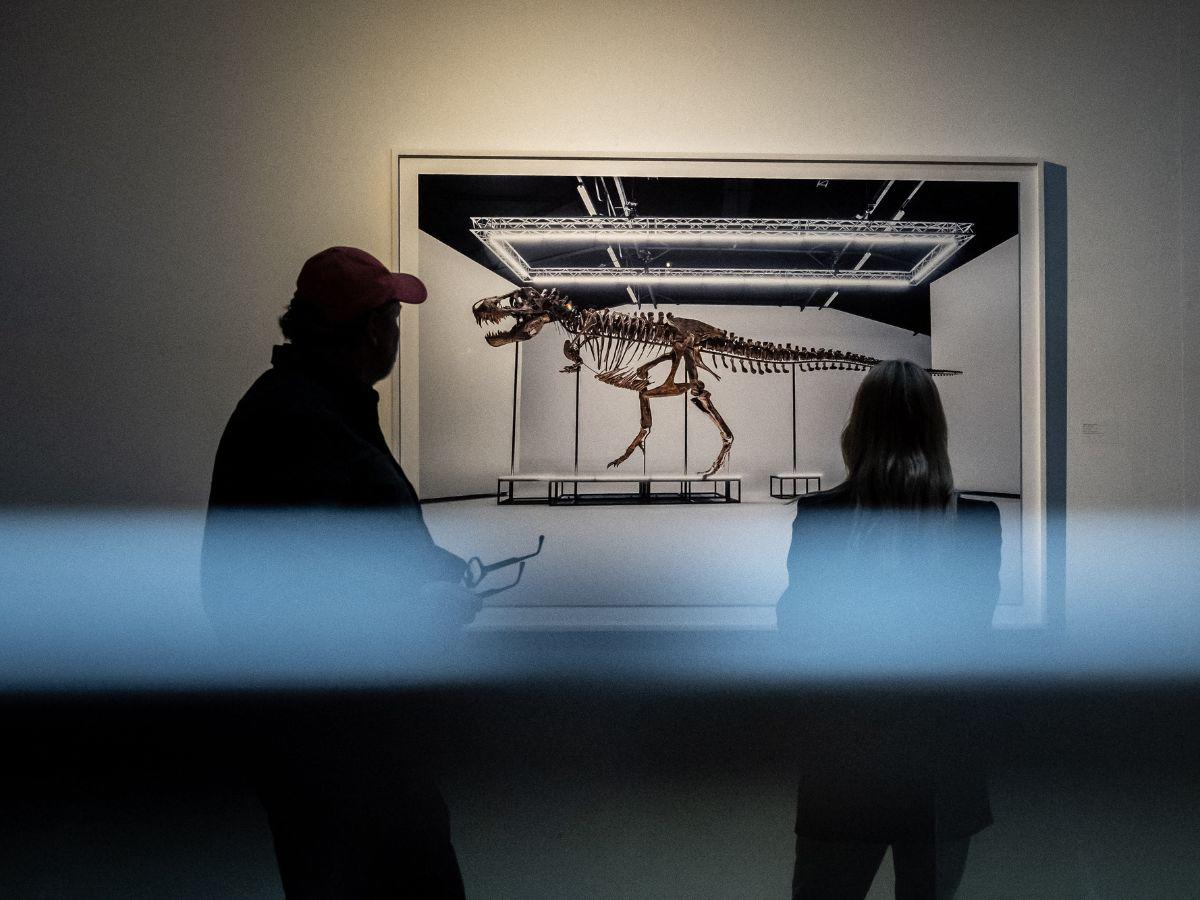 Un esqueleto de T-Rex ensamblado se vende en subasta por 5,6 millones de euros