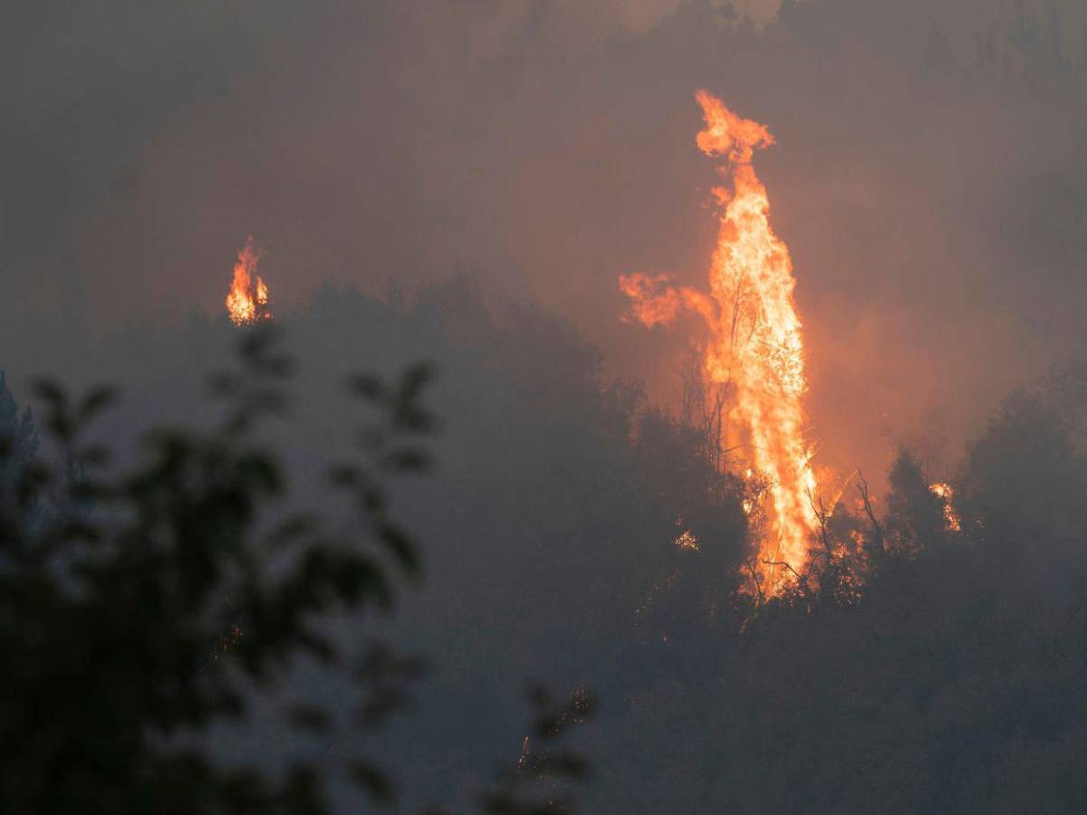 Megaincendios arrasan el sur de Chile y autoridades decretan estado de catástrofe