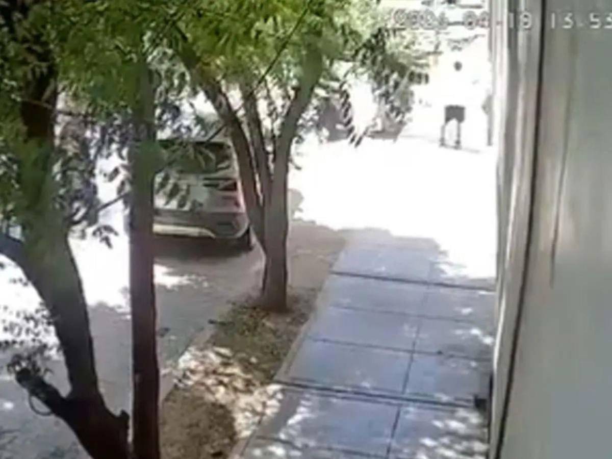 Caso Minosska Pinto: seguros de vida millonarios señalan a su esposo como culpable