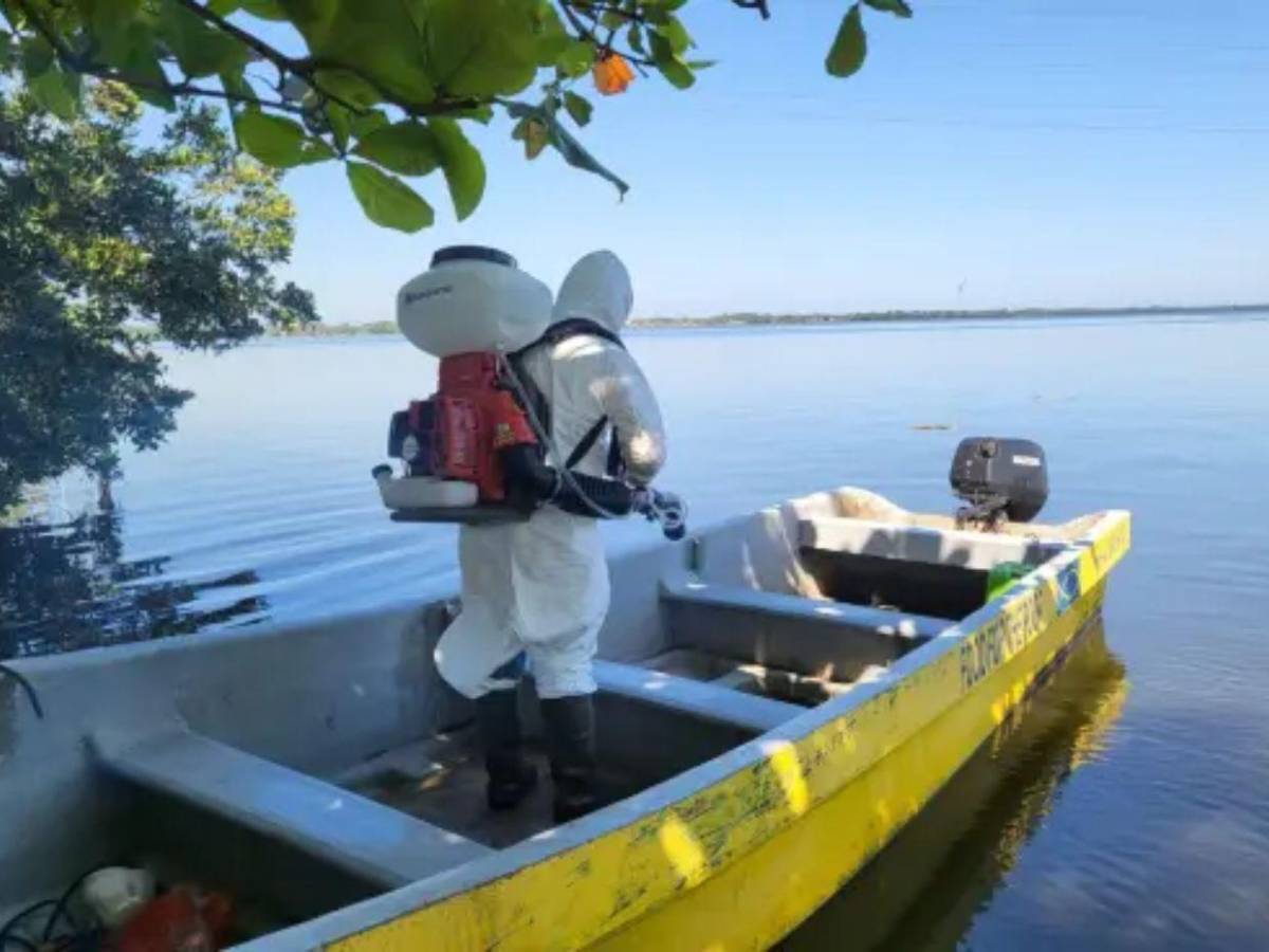 ¿Qué es la influenza aviar H5N1 detectada en aves? ¿Puede contagiarse en humanos?