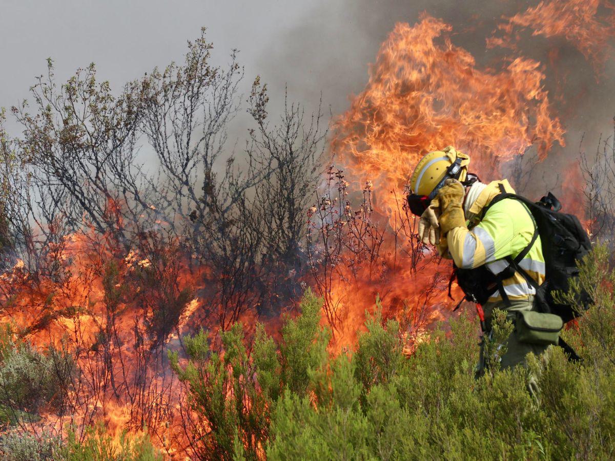 Incendios en España: miles evacuados y cientos de hectáreas quemadas