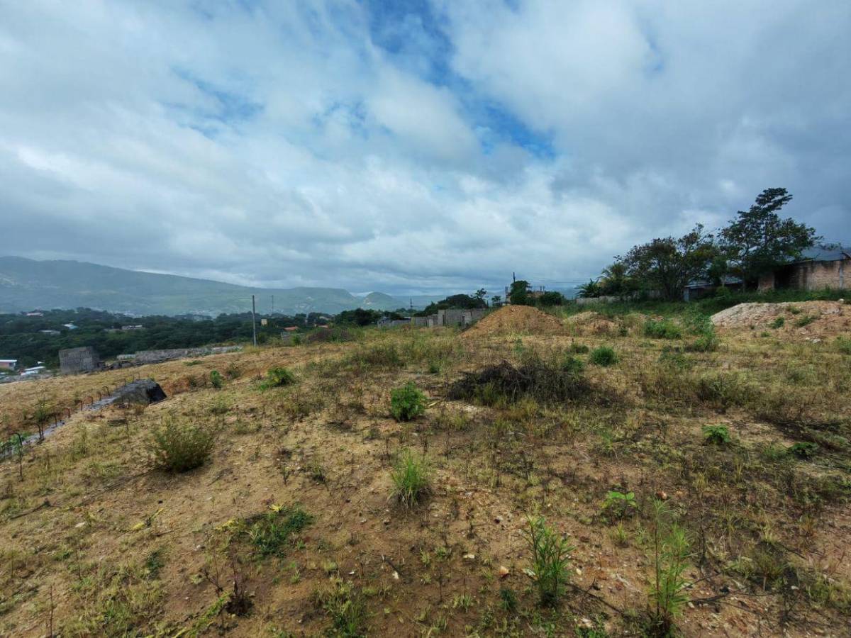 Maleza y abandono rodean el proyecto Villa Solidaridad en el Distrito Central