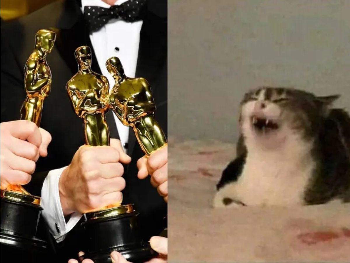 ¡Las risas no faltaron! Los mejores memes que dejaron los Oscar 2026