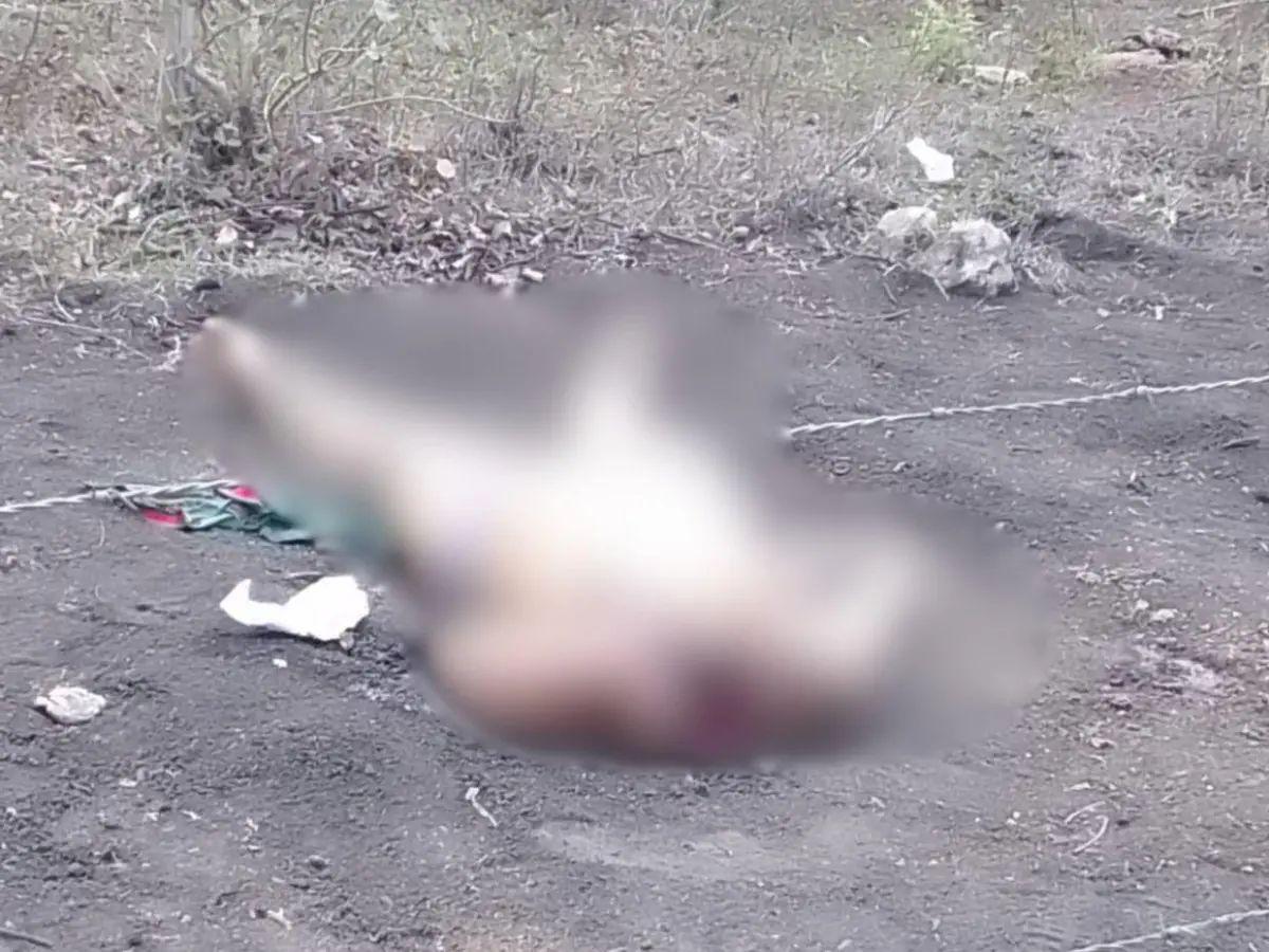 “Esto le pasará a quienes extorsionen en nuestro nombre”: Flor Matute, decapitada en  Sulaco