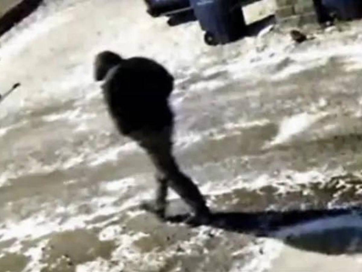 Hallan a dentista y su esposa muertos frente a sus hijos de 1 y 4 años en Ohio