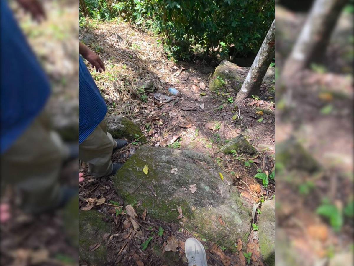 De difícil acceso y zona boscosa: revelan cómo es el lugar donde hallaron el cuerpo de Kimberly